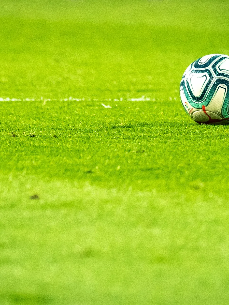 Un ballon de football posé sur la ligne blanche d'une pelouse