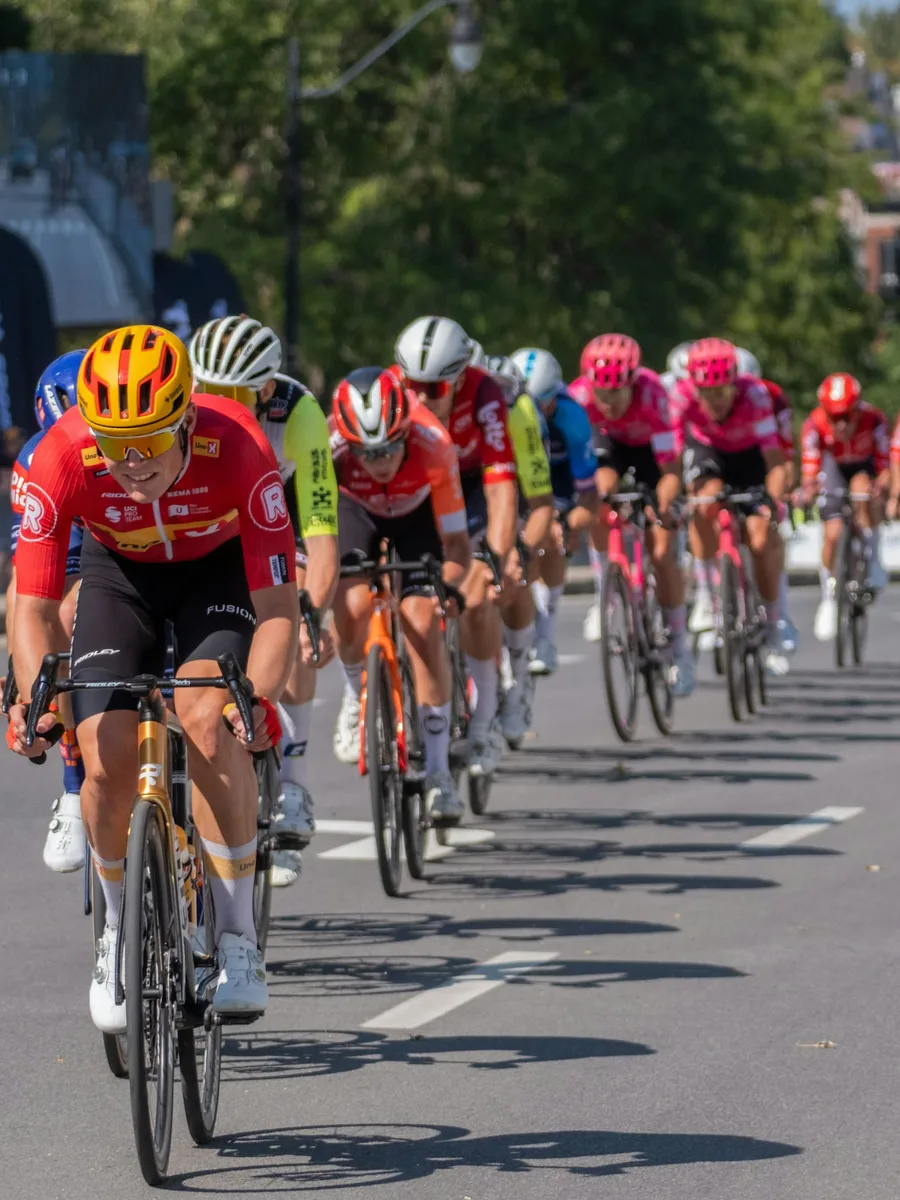 Un peloton de coureurs cyclistes en maillots colorés roule sur une route ensoleillée bordée d'arbres.