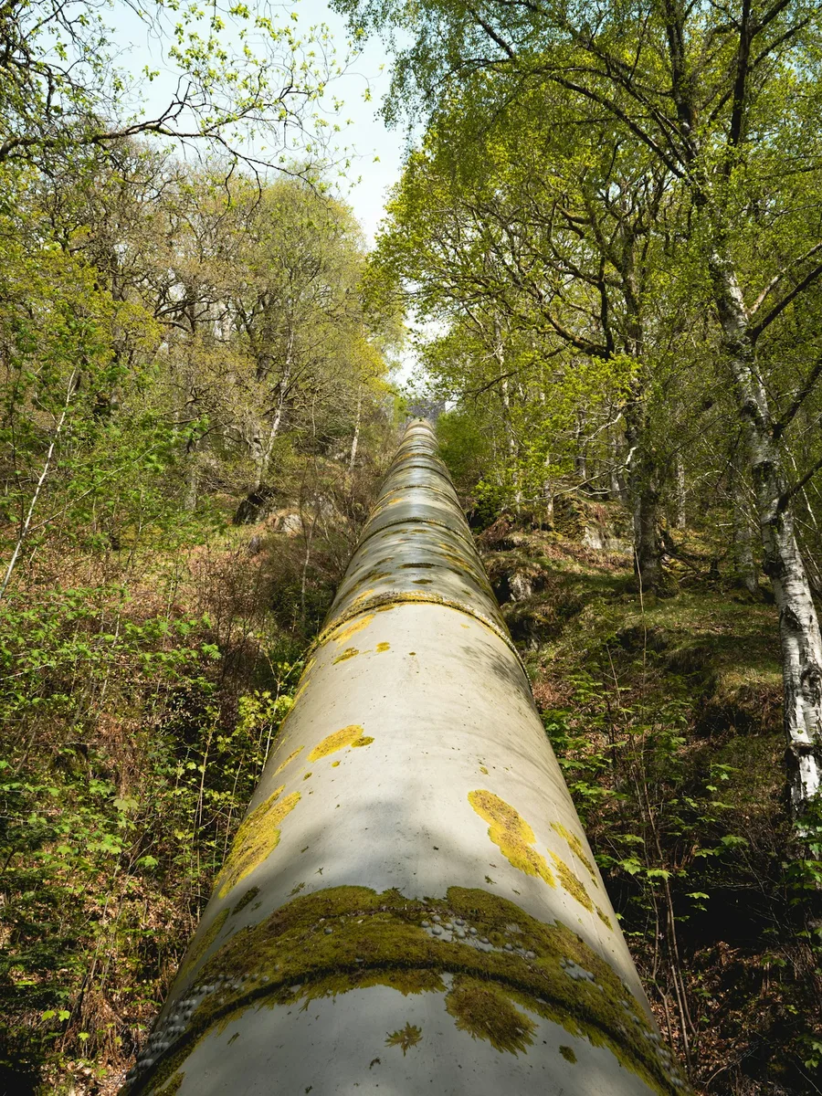 Une grosse canalisation grimpe à travers une forêt, vue dans l'axe du tuyau.