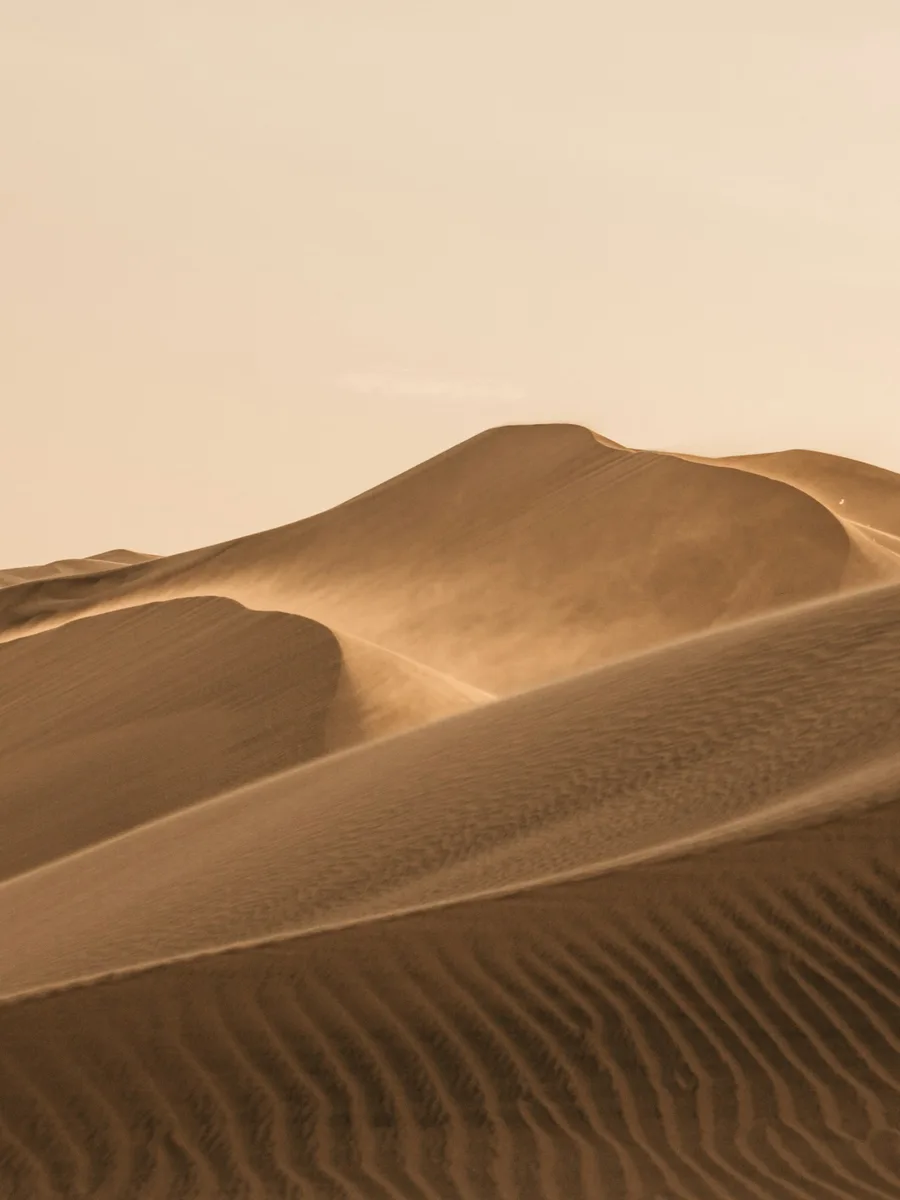 Des dunes de sable dans un désert sous un ciel pâle
