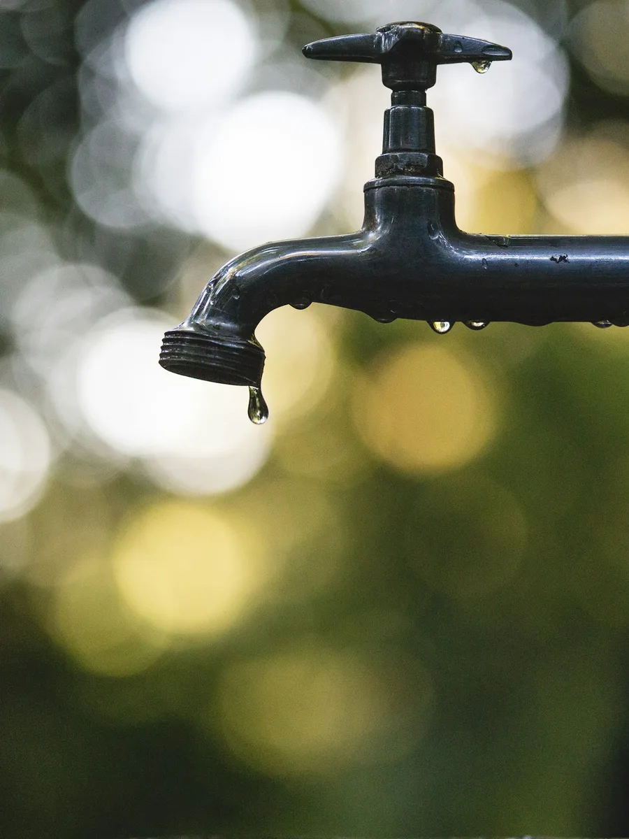 Gros plan sur un robinet en métal noir d'où tombe une goutte d'eau, sur fond de verdure floue